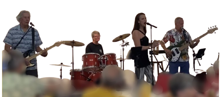The Hullaboo Liars playing live